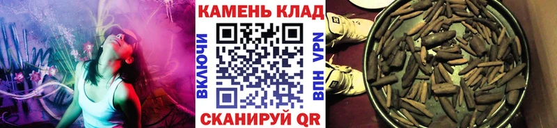 Купить закладки  Горнозаводск  ГАШ Premium 