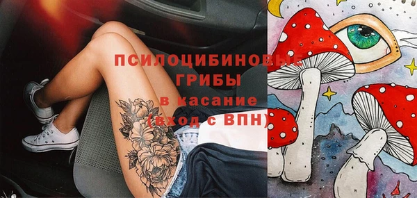 герыч Верхний Тагил