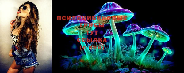 герыч Верхний Тагил