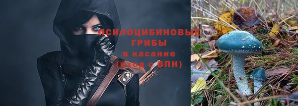 ГАЛЛЮЦИНОГЕННЫЕ ГРИБЫ Верхнеуральск