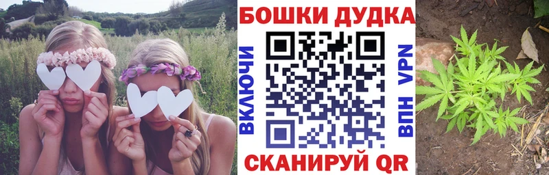 Канабис OG Kush Горнозаводск